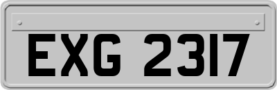 EXG2317