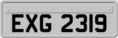 EXG2319