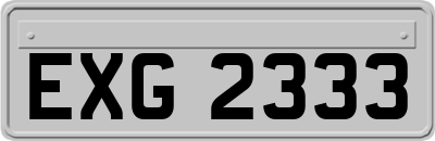EXG2333