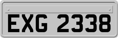 EXG2338