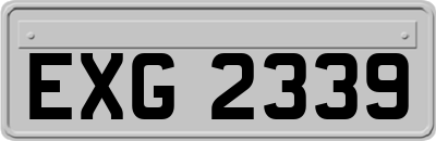 EXG2339
