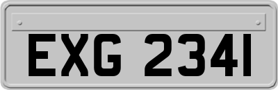 EXG2341