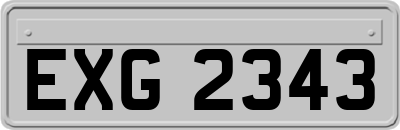 EXG2343