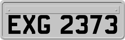 EXG2373