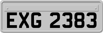 EXG2383