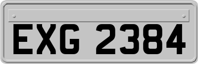 EXG2384