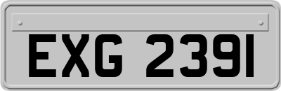 EXG2391