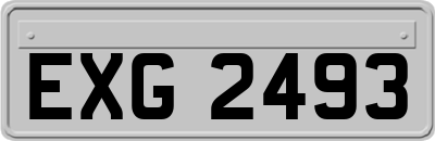 EXG2493