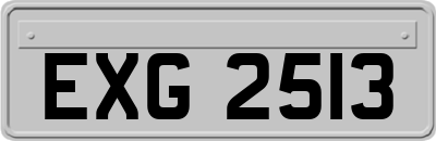 EXG2513