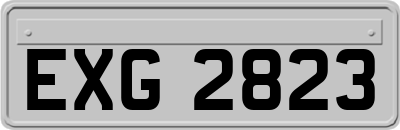 EXG2823