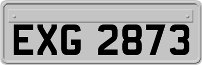 EXG2873