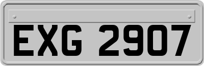 EXG2907