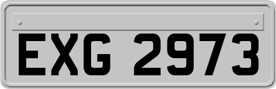 EXG2973