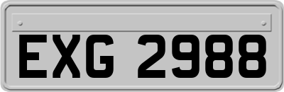 EXG2988