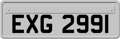 EXG2991