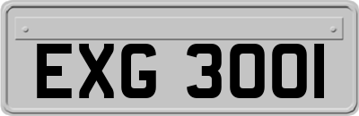 EXG3001