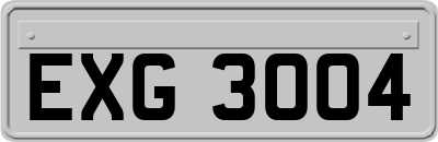 EXG3004