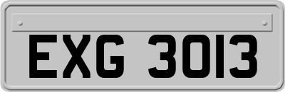 EXG3013