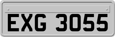 EXG3055