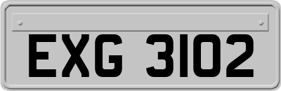 EXG3102