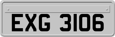 EXG3106