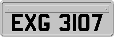 EXG3107