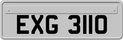 EXG3110