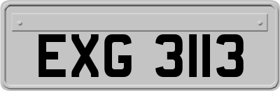 EXG3113