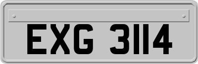 EXG3114