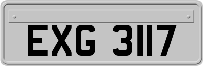 EXG3117