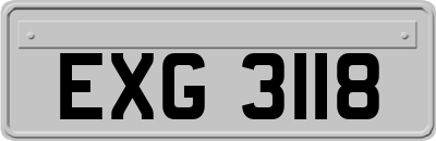 EXG3118