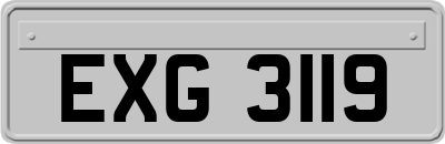 EXG3119