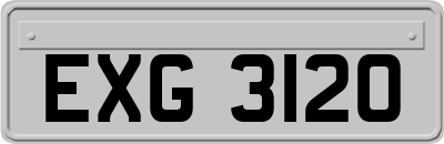 EXG3120