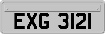 EXG3121