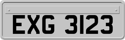 EXG3123