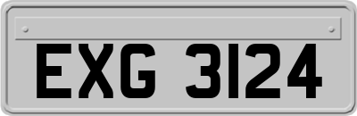 EXG3124