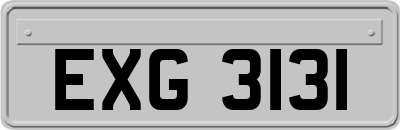 EXG3131