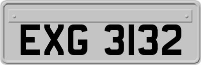 EXG3132