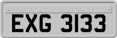 EXG3133