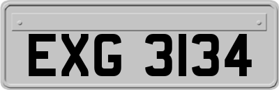 EXG3134