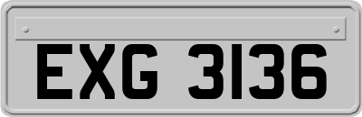 EXG3136
