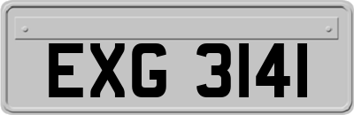 EXG3141