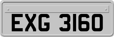 EXG3160