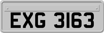 EXG3163