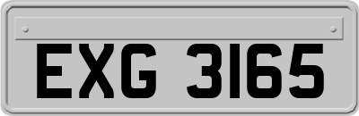 EXG3165
