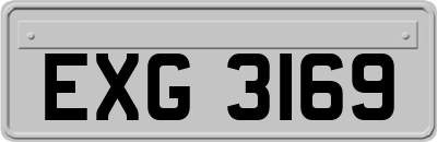 EXG3169