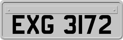 EXG3172
