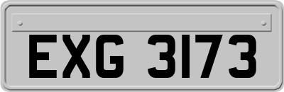 EXG3173