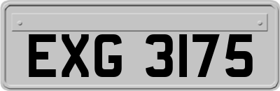 EXG3175