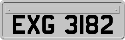 EXG3182